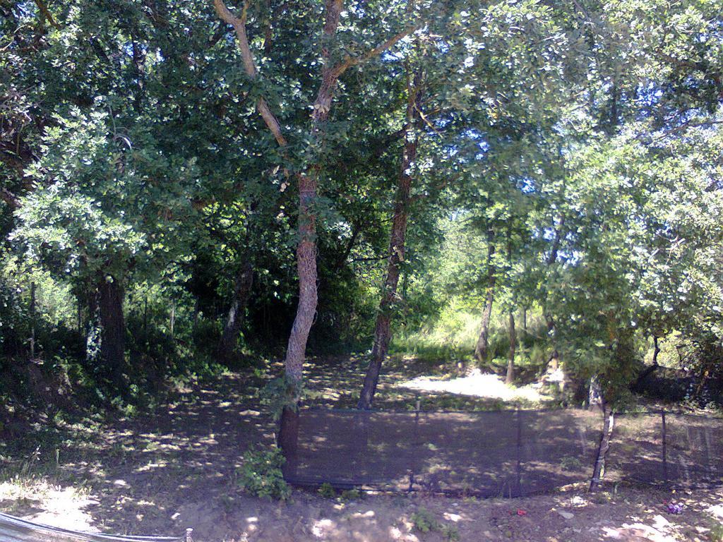 Agriturismo San Pietro Gangi Buitenkant foto