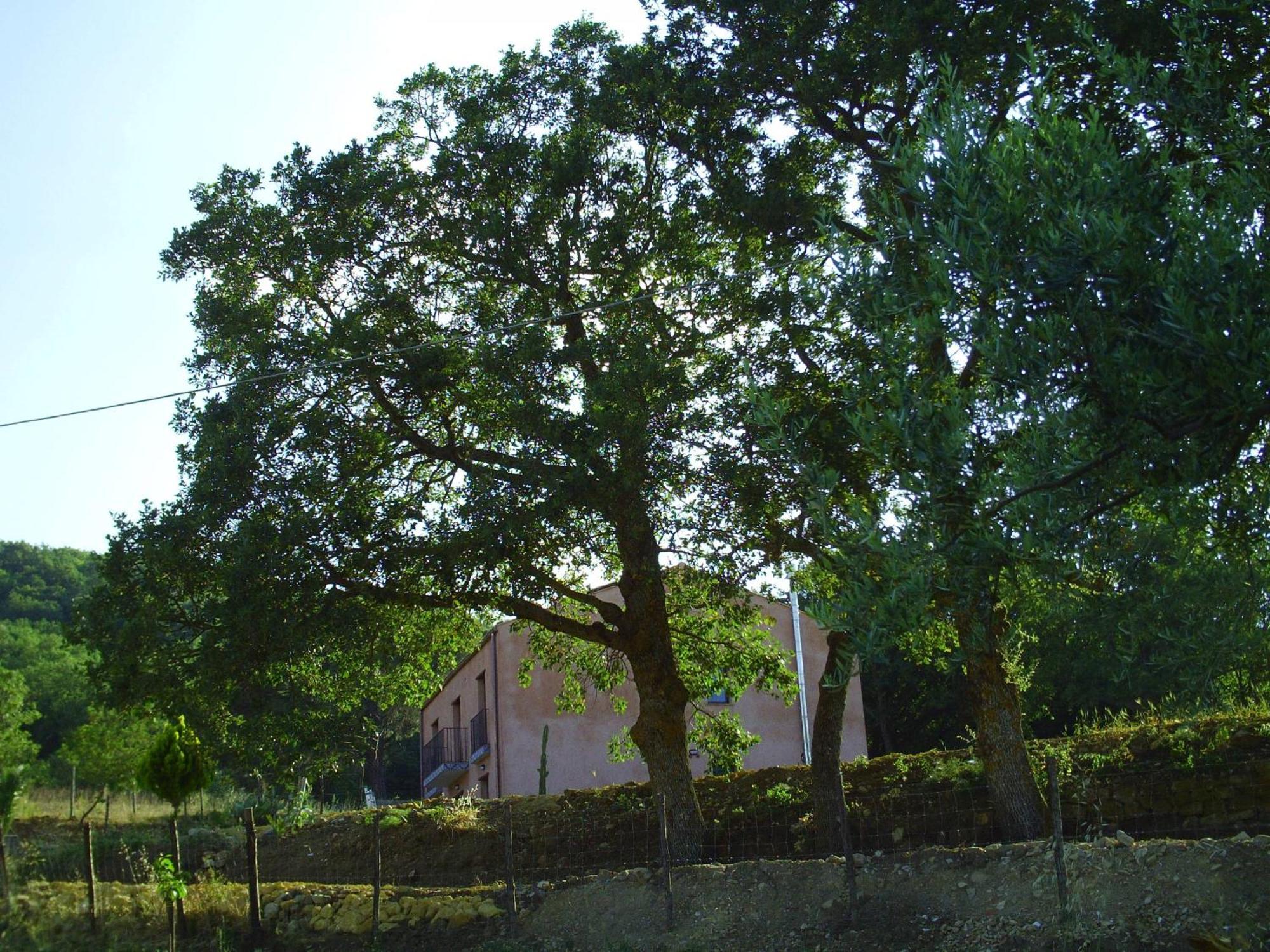 Agriturismo San Pietro Gangi Buitenkant foto