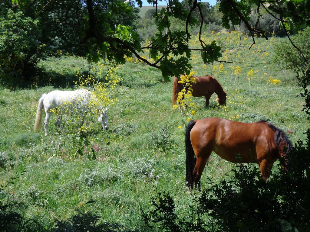 Agriturismo San Pietro Gangi Buitenkant foto