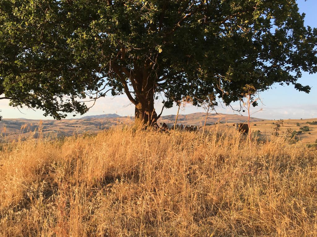 Agriturismo San Pietro Gangi Buitenkant foto